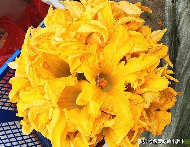 南瓜花也可以做菜吃 用来煮汤味道清香鲜甜 还能清热解暑 瘦肉