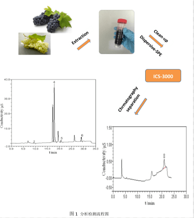 酿酒|专家风采第1期