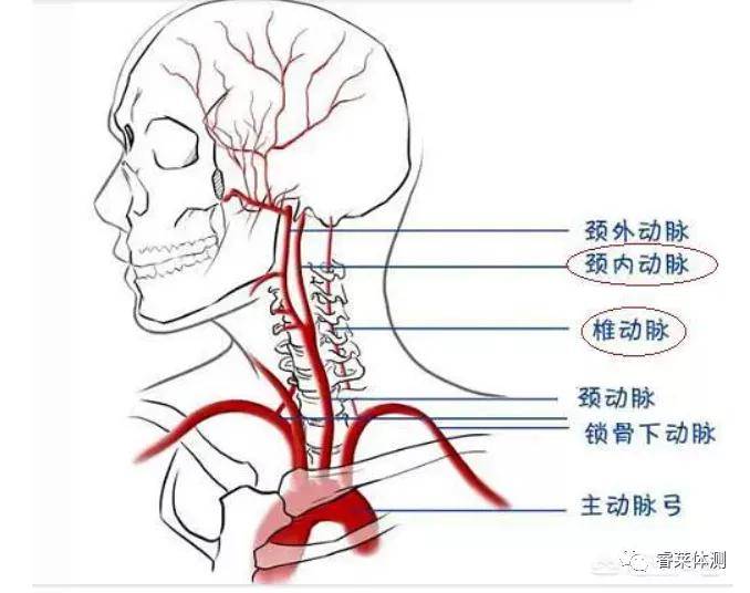 体态|90%孩子存在体态问题 家长该警惕了！