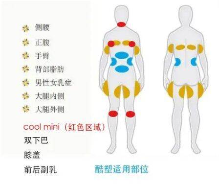 来袭|酷塑小头（cool mini）来袭，双下巴的实力克星！