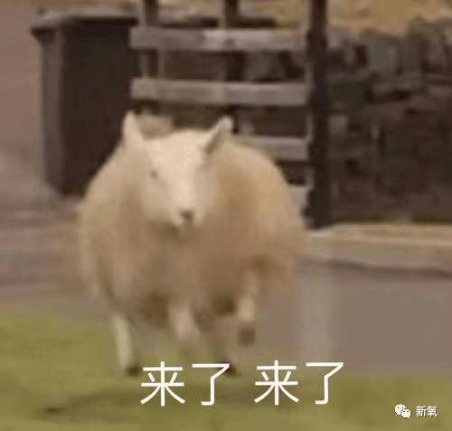 因为|拼心机到这种地步了么？热巴都开始在口罩上点痣了！
