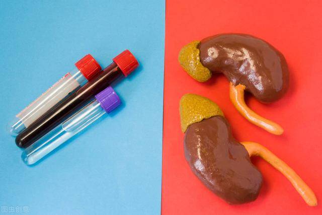 治疗|都说肌酐升高代表肾出问题?肾内科医师解释给您听,快快收藏起来