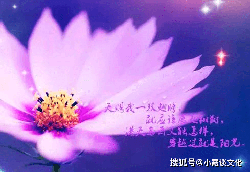 ffe40b95d23344669c6638747d3763fb.png