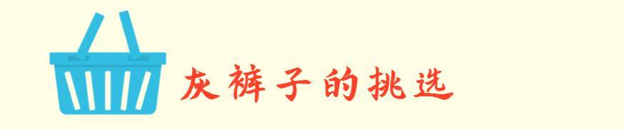 长裤|入夏后收起你的裙装吧，低调洋气的“灰裤子”，显瘦又有气质