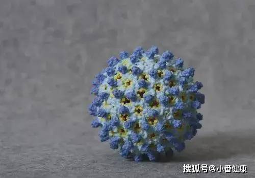 人员|从分子生物学，衣壳抑制剂方向，介绍5种在研乙肝新药开发进展