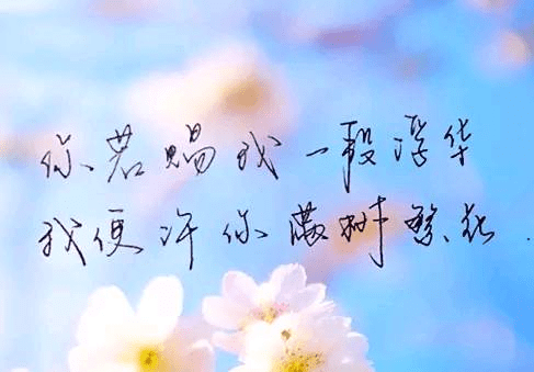 人生经典语录15个 6964d2f2823a438d9d976172ef82559e.png