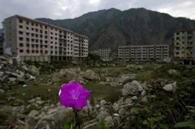 角色|为什么柳岩，越精致越被嘲“俗和土”，越“破败”反而愈加精彩？