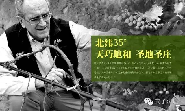 亚洲|戎子酒庄干白葡萄酒荣获第11届(2020)亚洲葡萄酒质量大赛大奖!