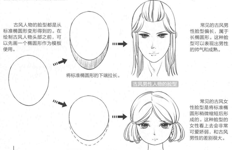 教你畫好古風人物頭部的畫法教程!_臉型
