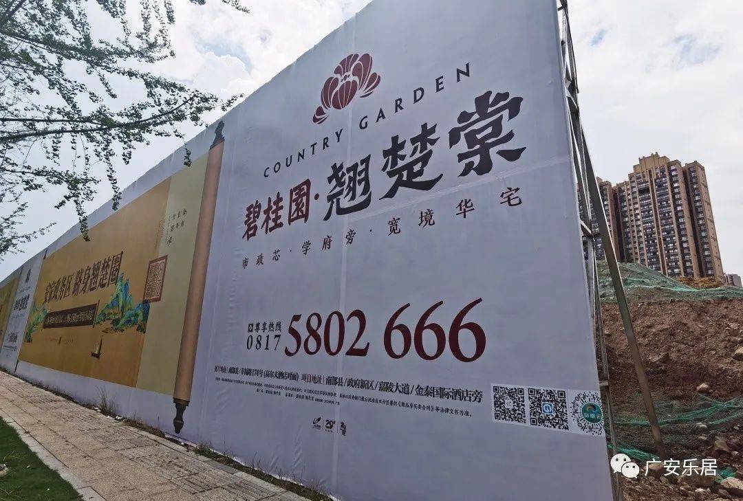碧桂园未开盘先收诚意金 购房者的合法权益怎样