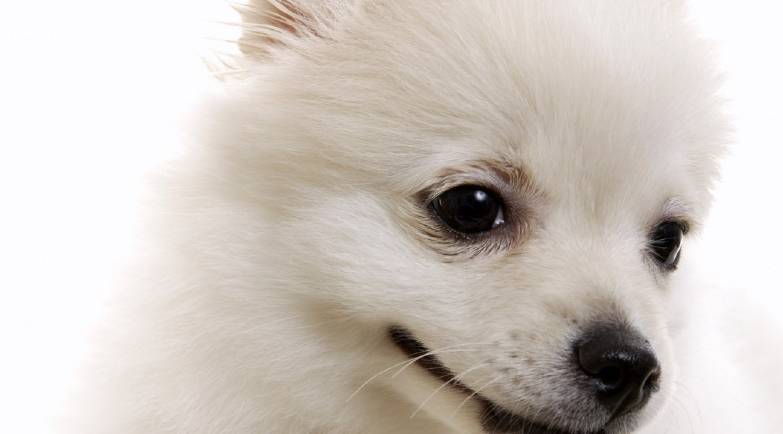 7d59420d69b14bff9d42cd346c53cc83.jpeg