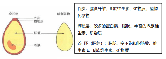 谷的结构图片