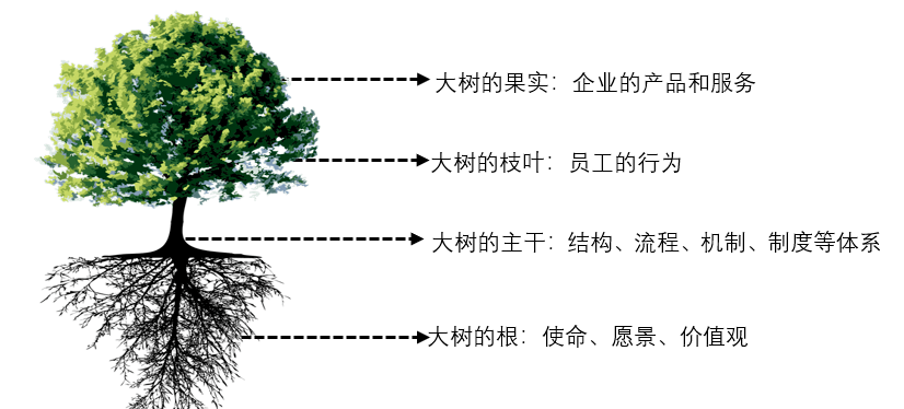 企业文化大树理论企业文化不远不空