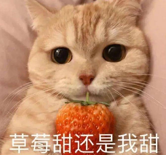 奶油色|T恤这么穿又土又显胖！第二种你一定有，赶紧扔掉！