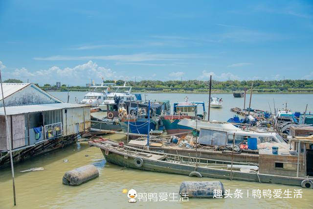 广州最南端的海边，没有海滩只有石堤坝，游客最爱来买海鲜！