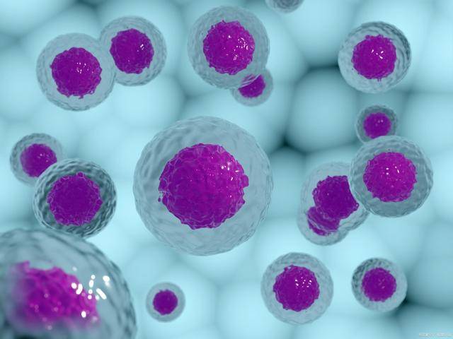 基因修饰nk细胞:将 car 装载于nk细胞上,增强nk细胞的肿瘤靶向性; 4.