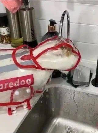 吃喝|主人头疼猫喝水总湿毛，给它穿猫式雨衣，猫费劲半天还是喝不到水