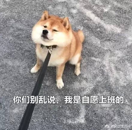 1b1c5157d15a4fe8928a64fa95d592da.jpeg
