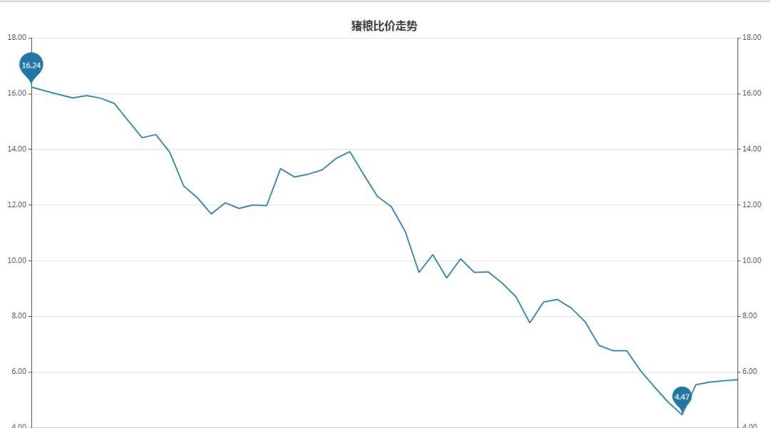 猪价明日最新走势 237179e6393e4ff1b6e008bc3bca1a5e.jpeg