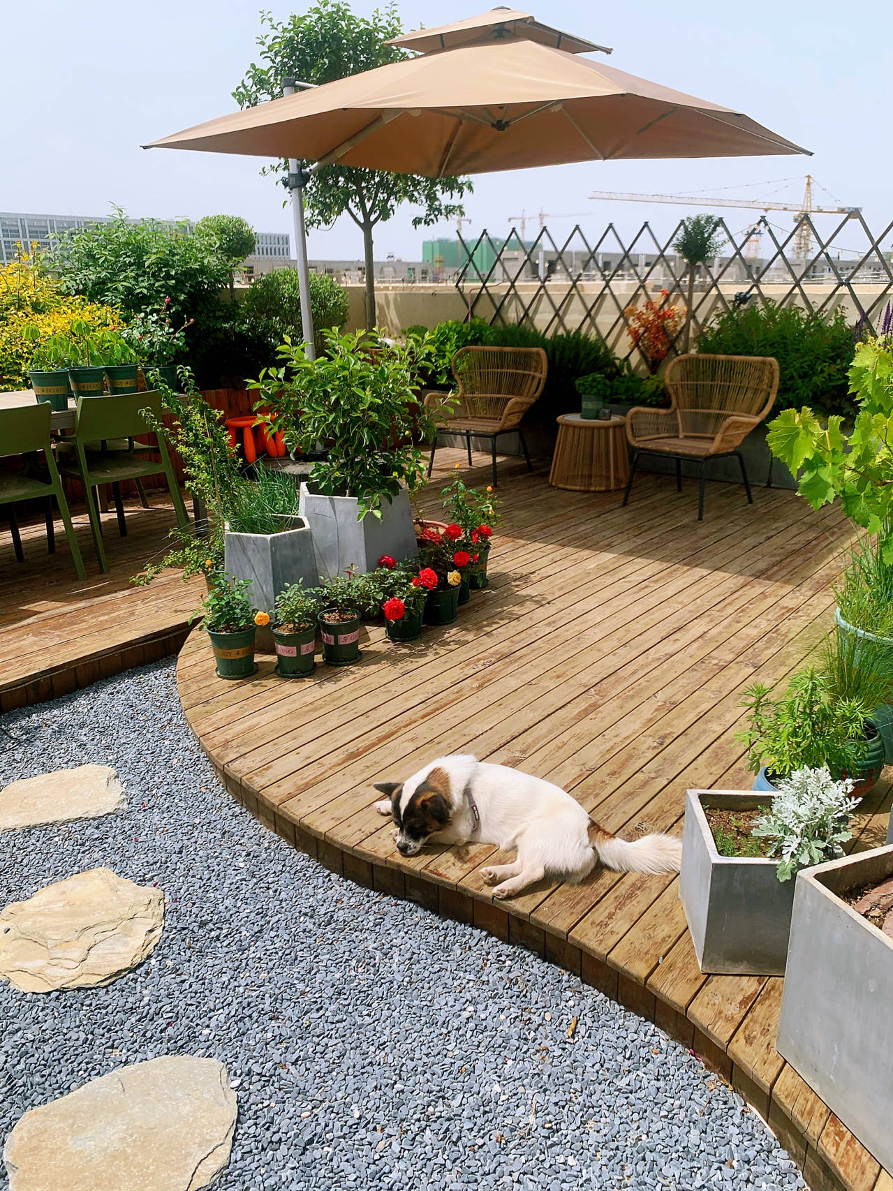花园改造:2万改造60㎡露台花园,户外地面防腐木成本及优劣分析