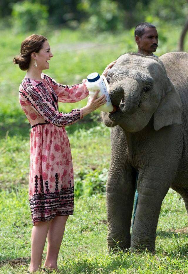 藏蓝色|西班牙王后也是“败家娘们”，一件长裙4万多，凯特王妃一身才399