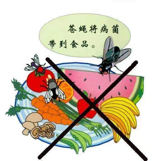 防范|洪涝灾害后注意防范肠道传染病