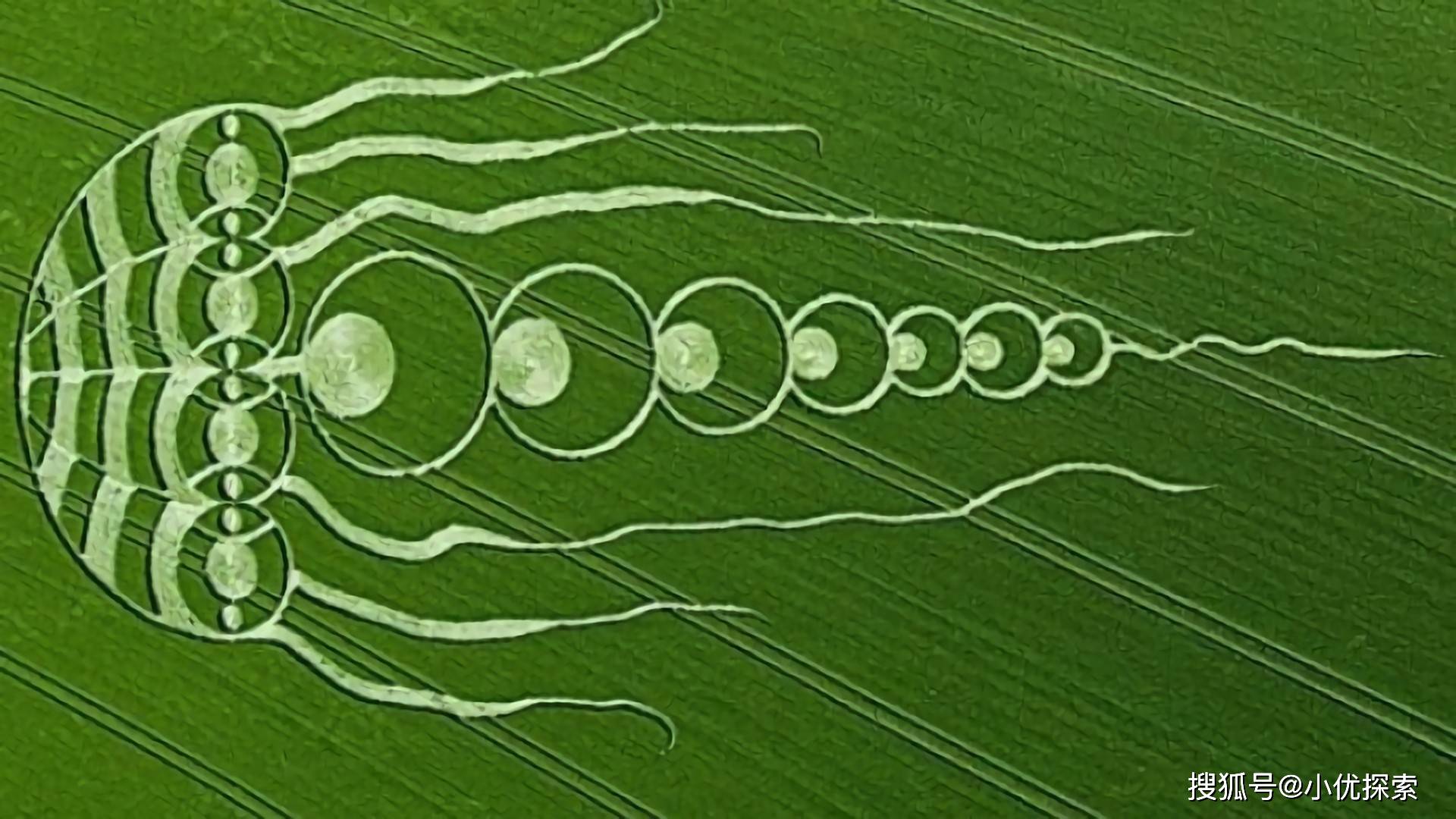 神秘的麦田怪圈 真相是什么 是人类恶作剧 还是外星人的标记 图案