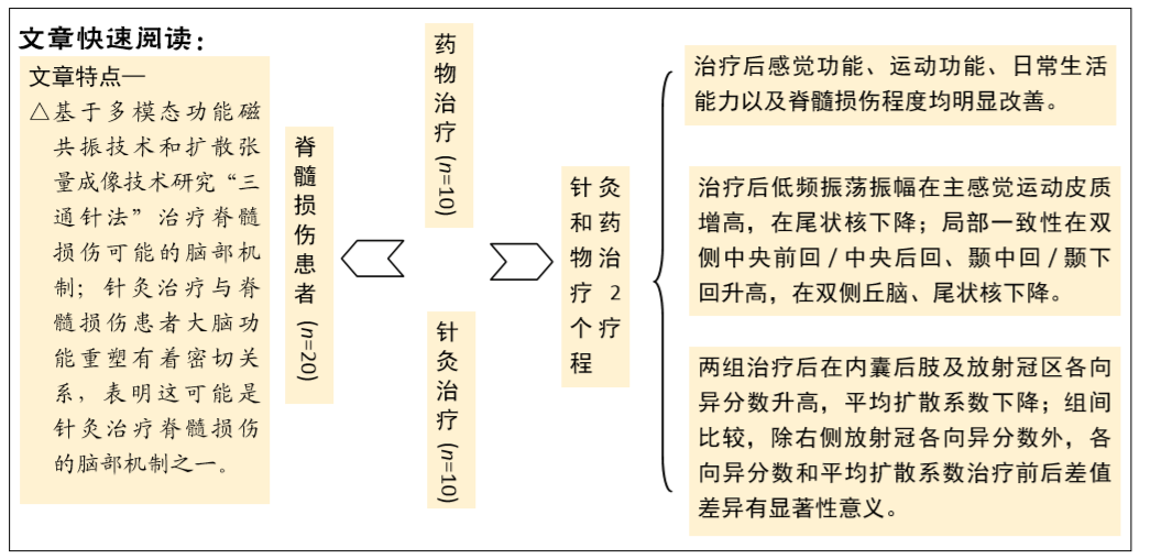 磁共振评价"三通针法"对脊髓损伤患者脑功能的影响