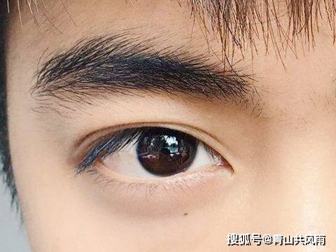 男人眉毛面相图片 搜狗图片搜索