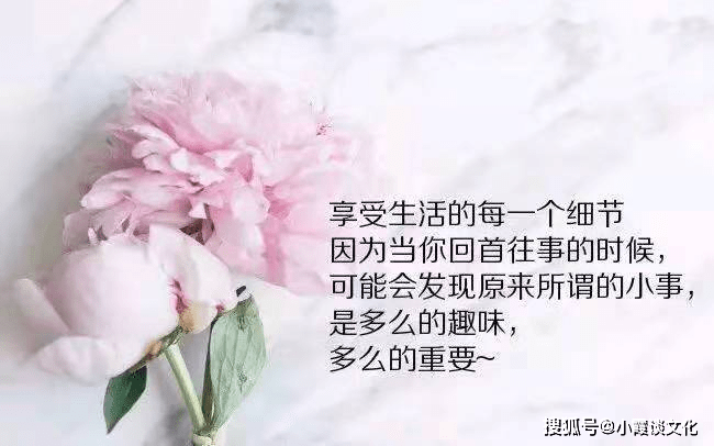 a37603ce733f4ab9823a9d27d5c23894.png