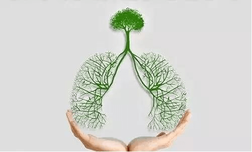 利奈|耐药肺结核最新治疗方案，利奈唑胺治疗耐药肺结核效果如何？