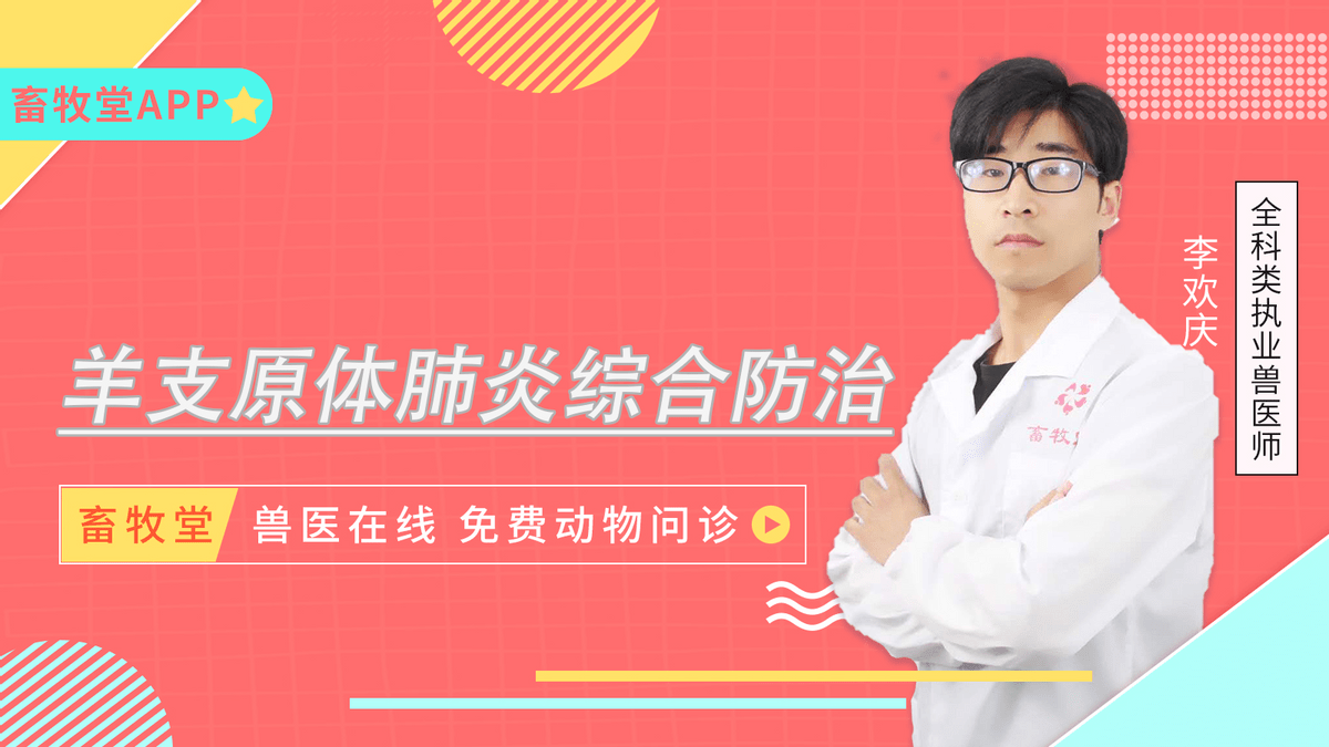 治疗|羊支原体肺炎如何防治 羊支原体肺炎的综合防治措施