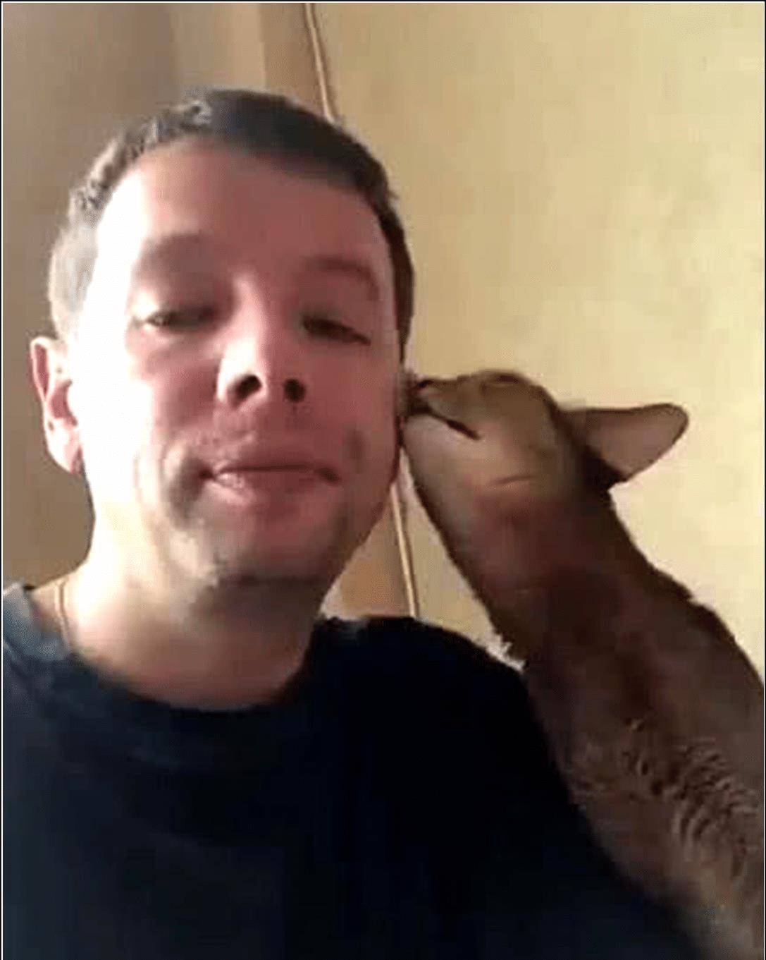 猫咪亲了下男主,本以为就结束了,接下来的举动令人笑喷了 猫咪亲了下男主,本以为就结束了,接下来的举动令人笑喷了