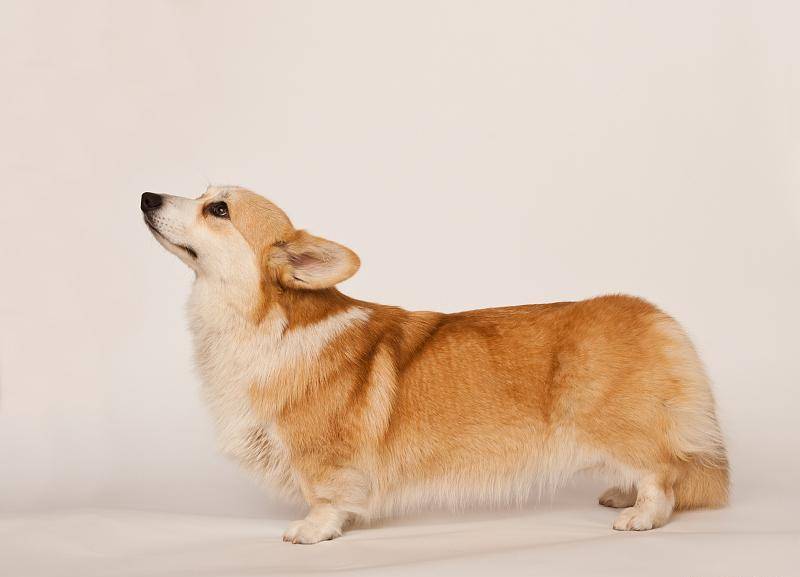 47d3f926a140464aa9910876c5d08bb8.jpeg