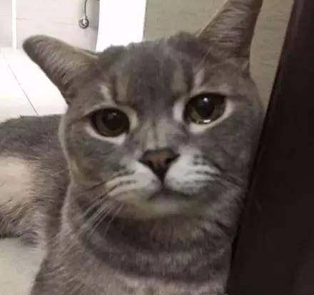 5b571a45e35f410f81612adedf0a2fcd.jpeg