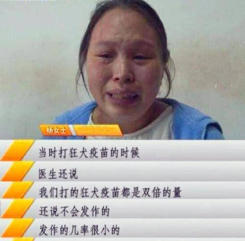 将泰迪当成宝宝来养，同吃同睡，却不料遭遇如此结局，泪奔