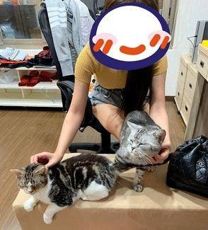 猫咪洗澡竟笑得如此灿烂，原来这一切都是“遗传”惹的祸！ 