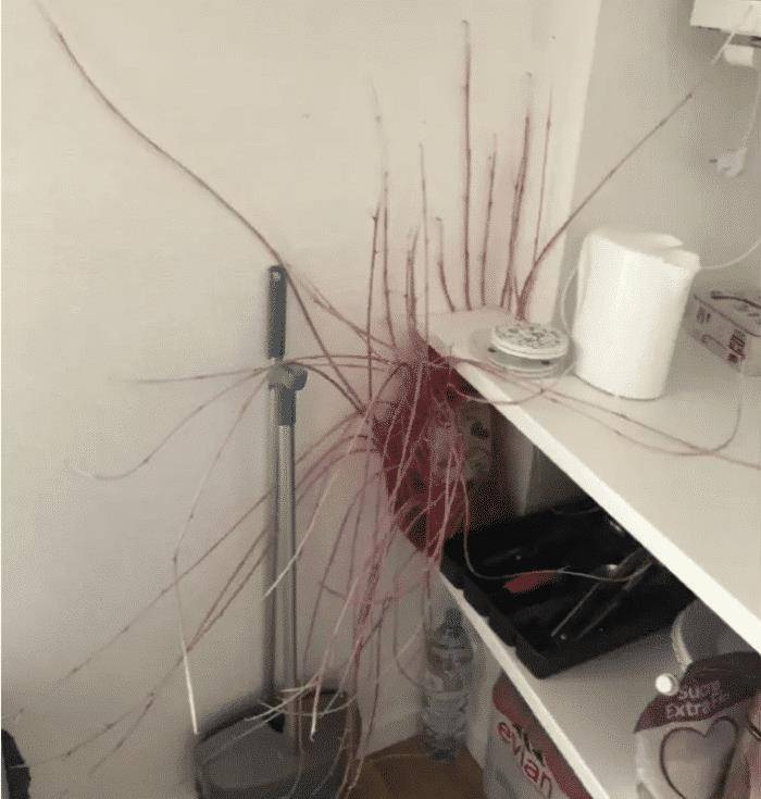 家小|如果我是按摩师,遇到这种客人,可能我直接就跑了吧!哈哈哈哈哈!太吓人了!