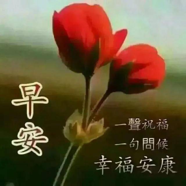 917ed2ab1dfa47e09b7c1bbb475f3cda.jpeg