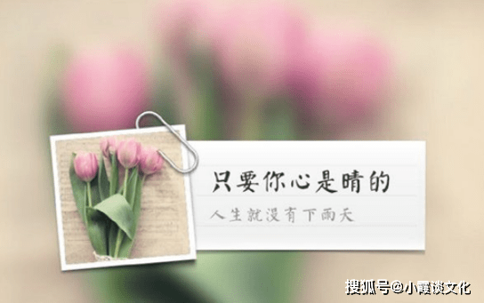 d51936fc3ac4479f844d1c84ec7ca7c1.png