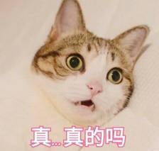 设计|赵丽颖程潇露肩造型好惊艳，get这3款，虎背熊腰也能穿出纤细感