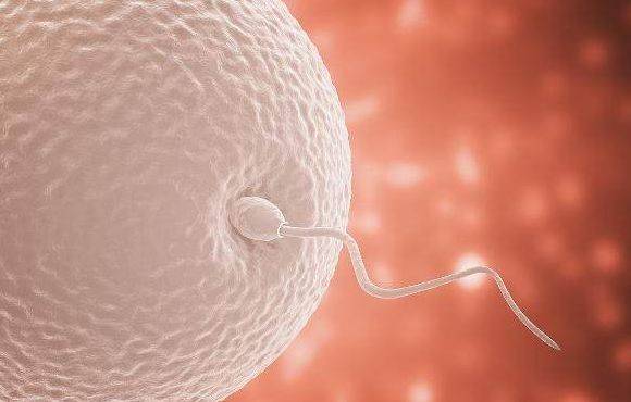 一般多久着床成功 ff1c7c1282cc4015b39b488bdd6687fe.jpeg