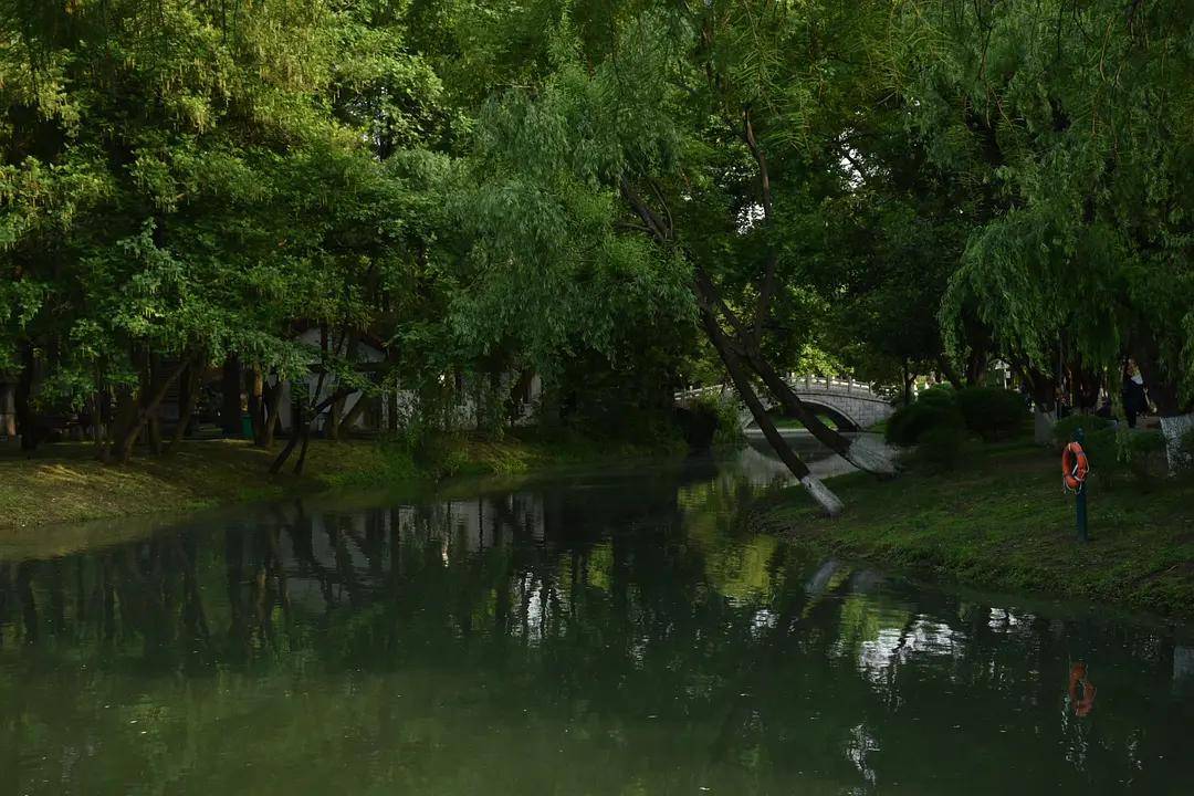 幼儿园|绿就一个字，可是已经把全世界都融化了（一个幼儿园教师的快乐暑假）