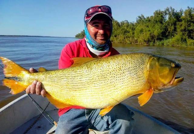 哪里有黄金河 0e7f14dfa4394b409f4860c96267aa6b.jpeg