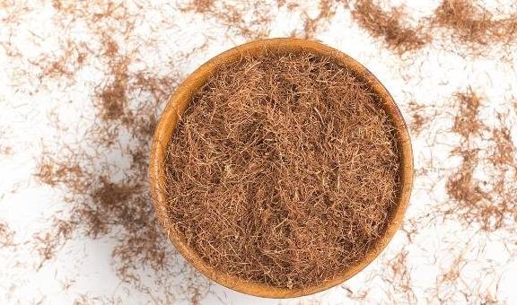 垃圾|三伏天,常用玉米须泡水,不出一个月,发生的变化让人喜出望外