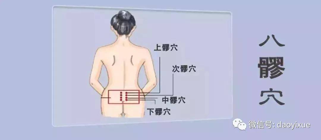 臀部经络的位置和功效图片