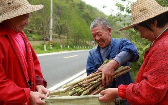 我国|它在国内的名气很大,80后将它当零食,12元一斤,国外却臭名昭著