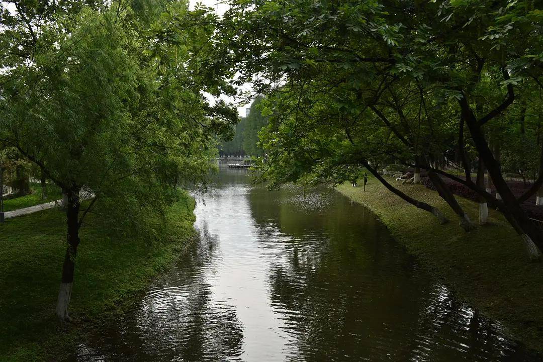 幼儿园|绿就一个字，可是已经把全世界都融化了（一个幼儿园教师的快乐暑假）