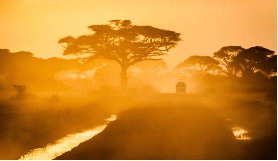 欣赏奇异的动物，壮观的风景之地，如何环游非洲？