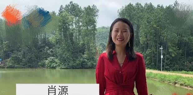 教育|幼儿园的习惯，小学的态度，初中的能力，3个方面培养是成才关键